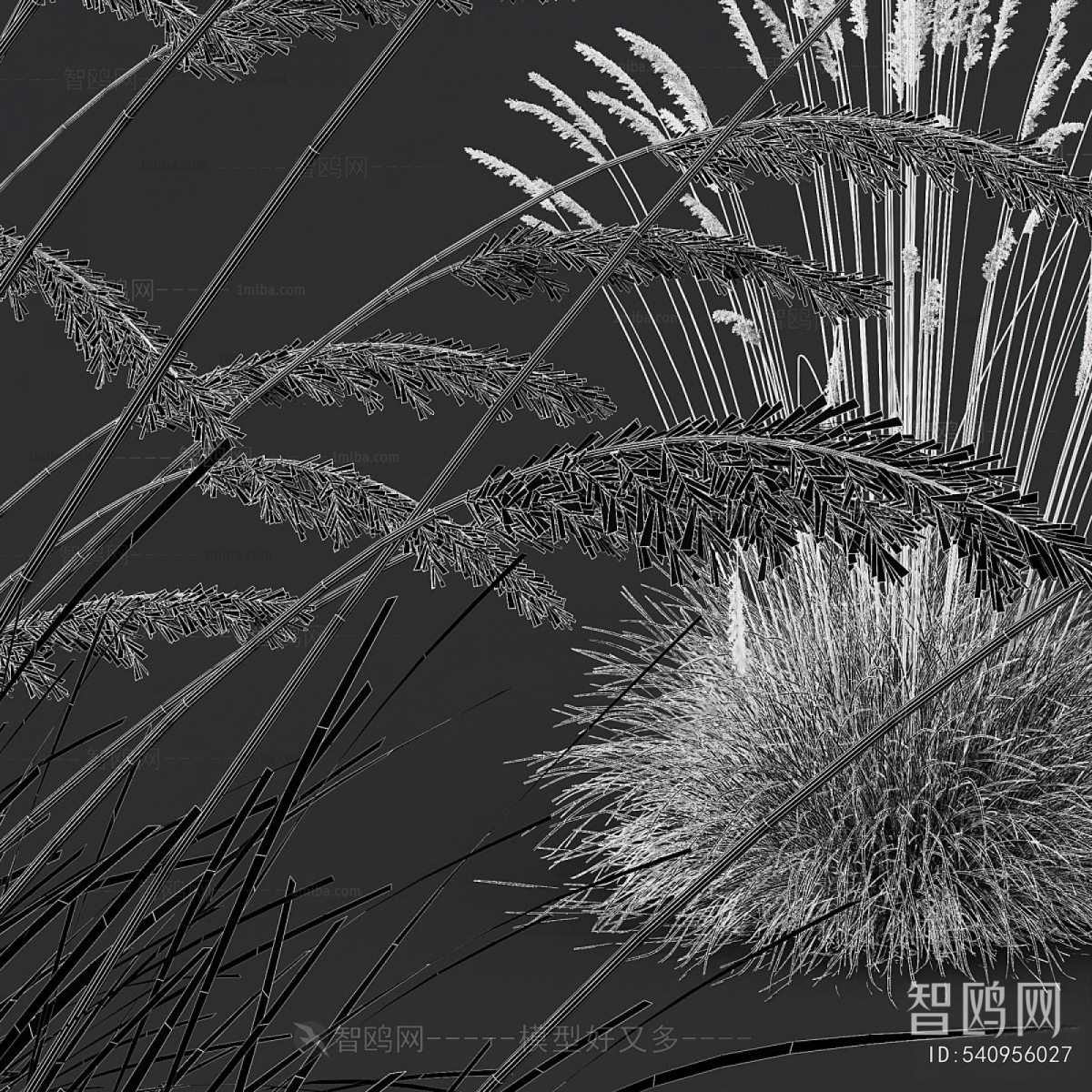 Modern Flowers And Grass