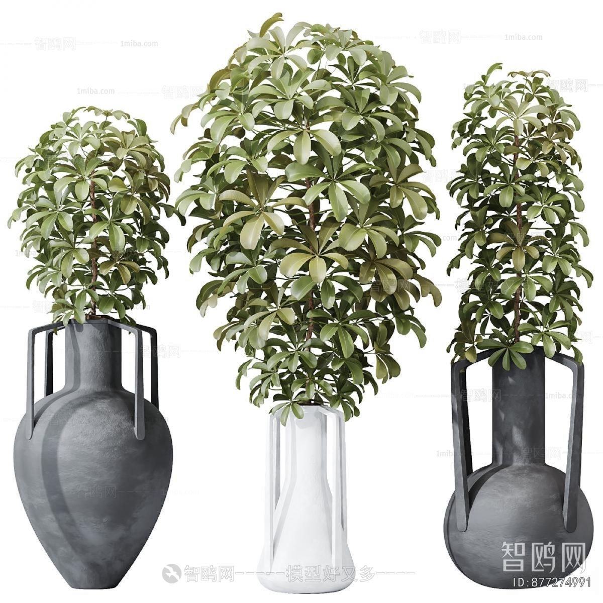 Modern Potted Green Plant