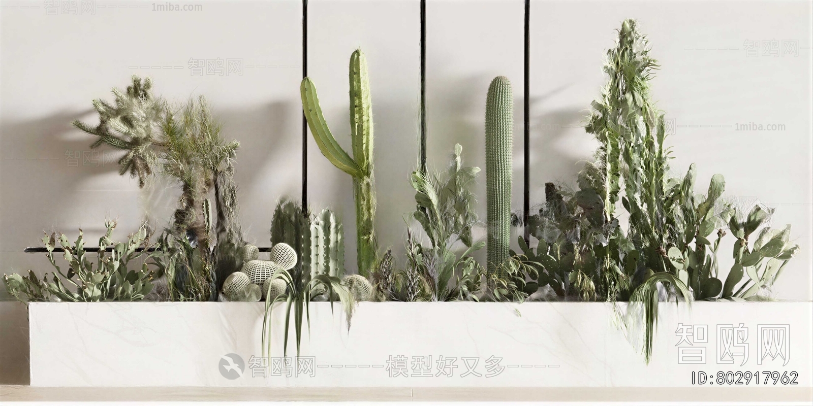 Modern Plant Landscaping