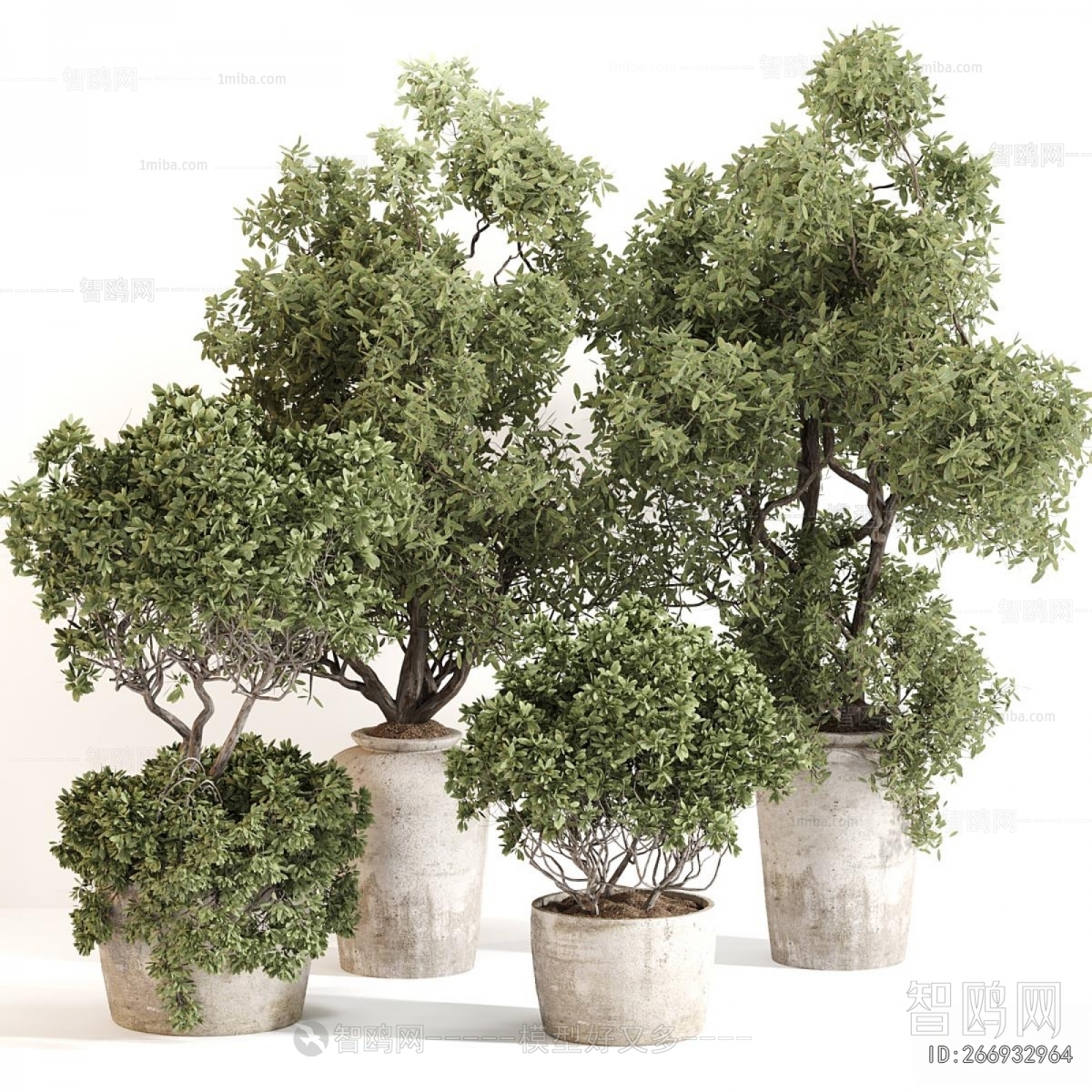 Modern Ground Green Plant Potted Plants