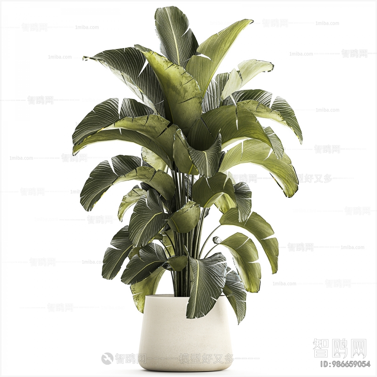 Modern Ground Green Plant Potted Plants