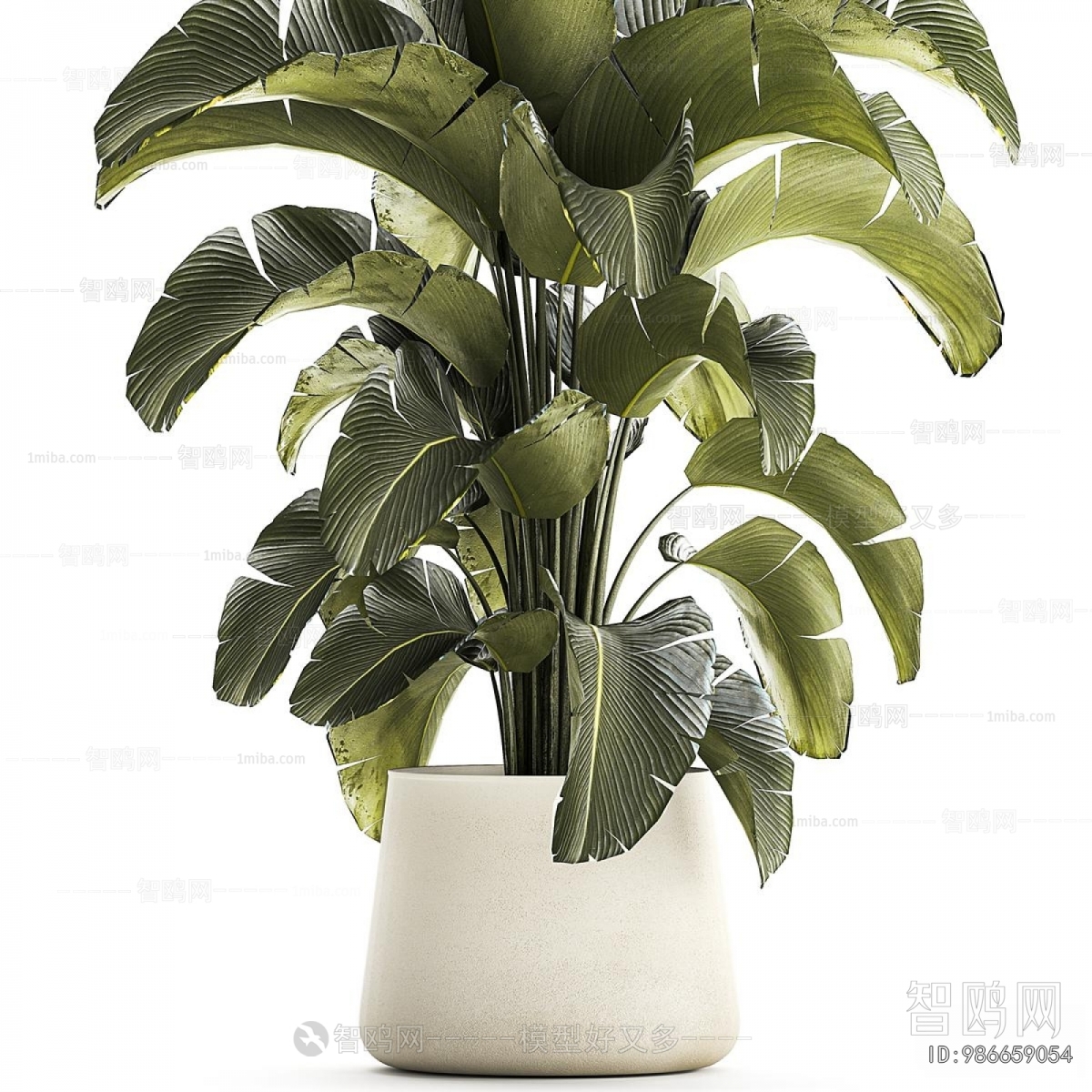 Modern Ground Green Plant Potted Plants