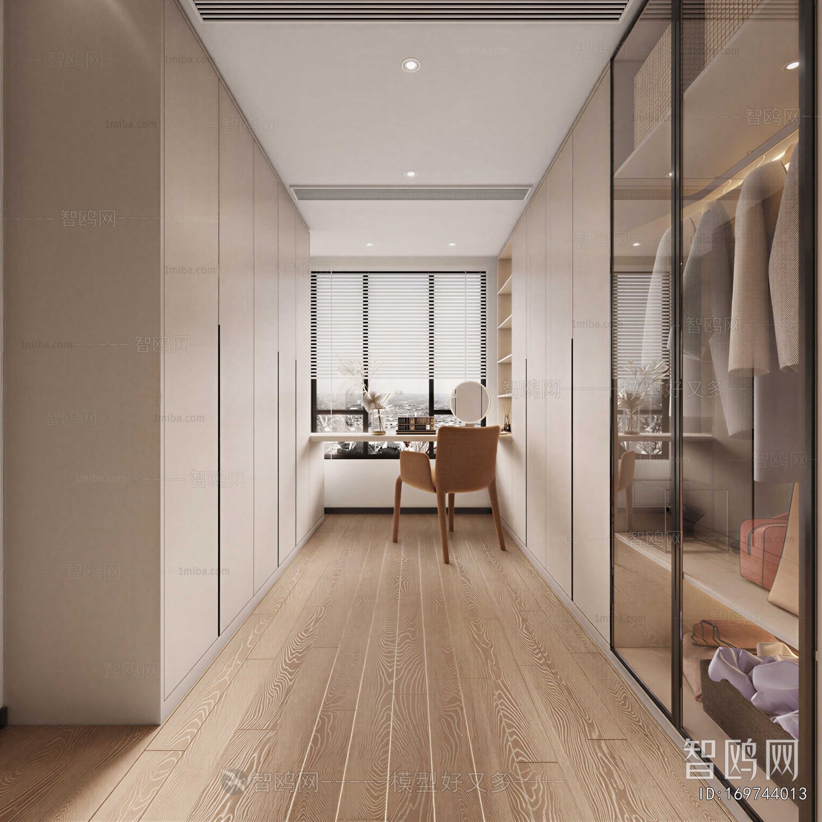 Modern Clothes Storage Area