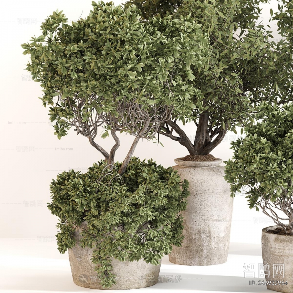 Modern Ground Green Plant Potted Plants