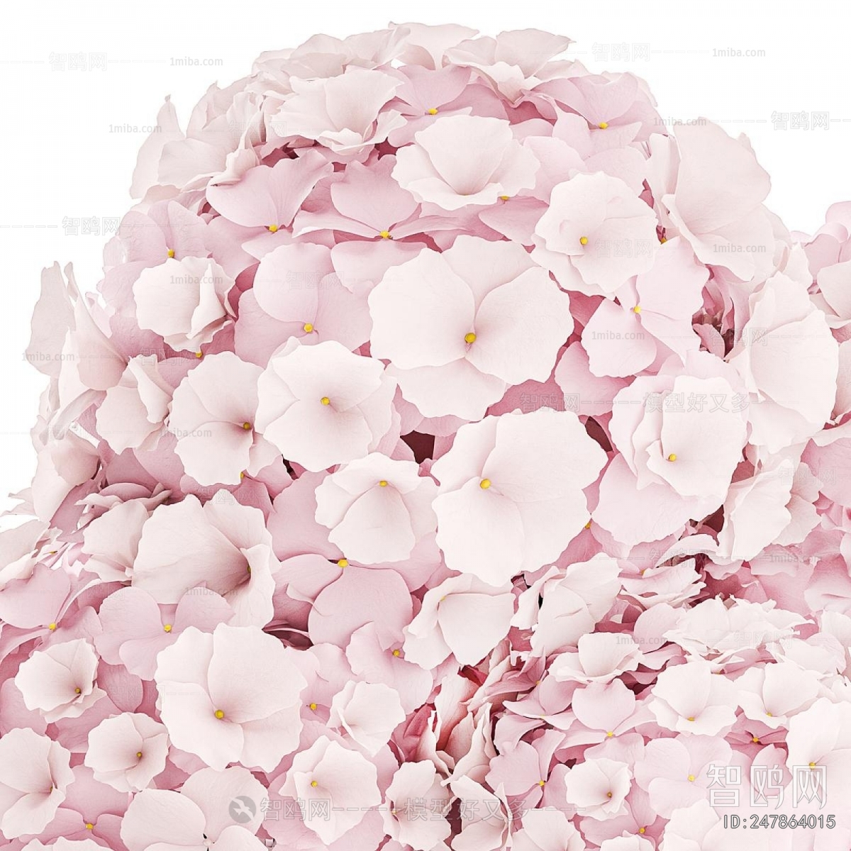 Modern Flower Arrangement