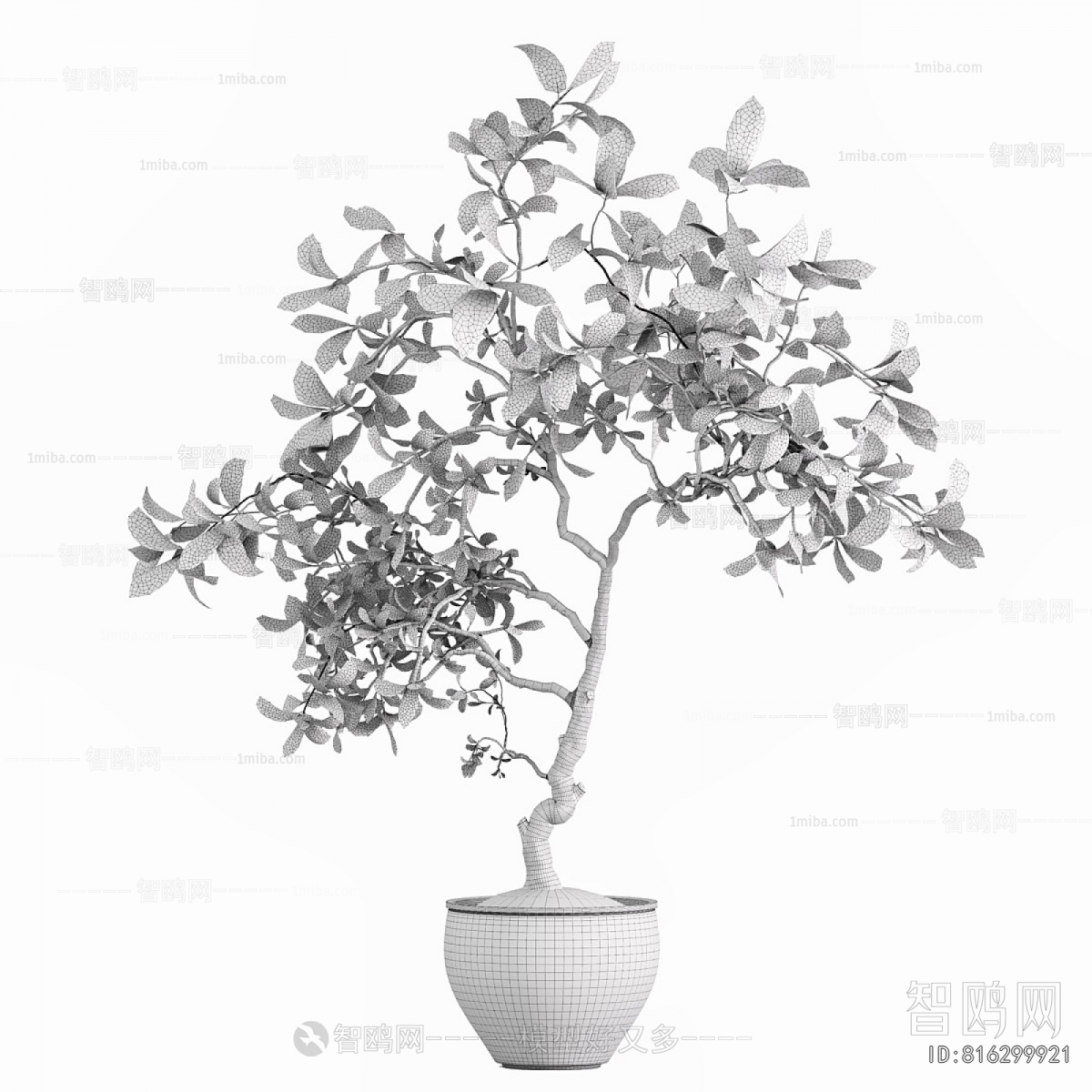 Modern Ground Green Plant Potted Plants