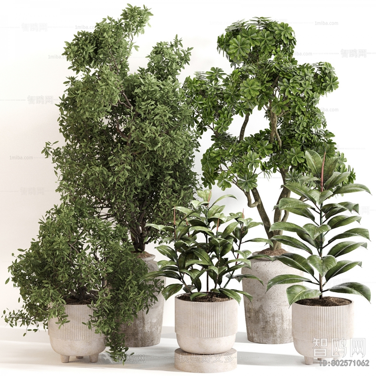Modern Ground Green Plant Potted Plants