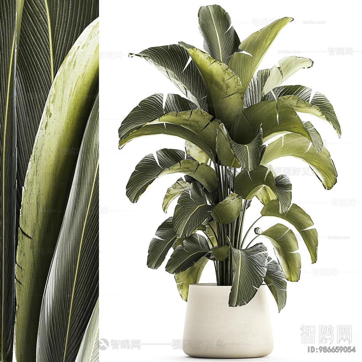 Modern Ground Green Plant Potted Plants
