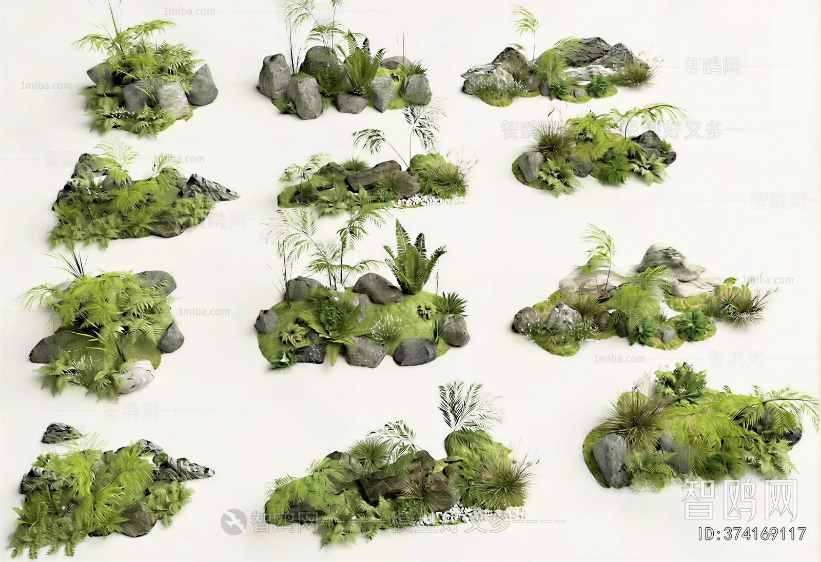 Modern Plant Landscaping