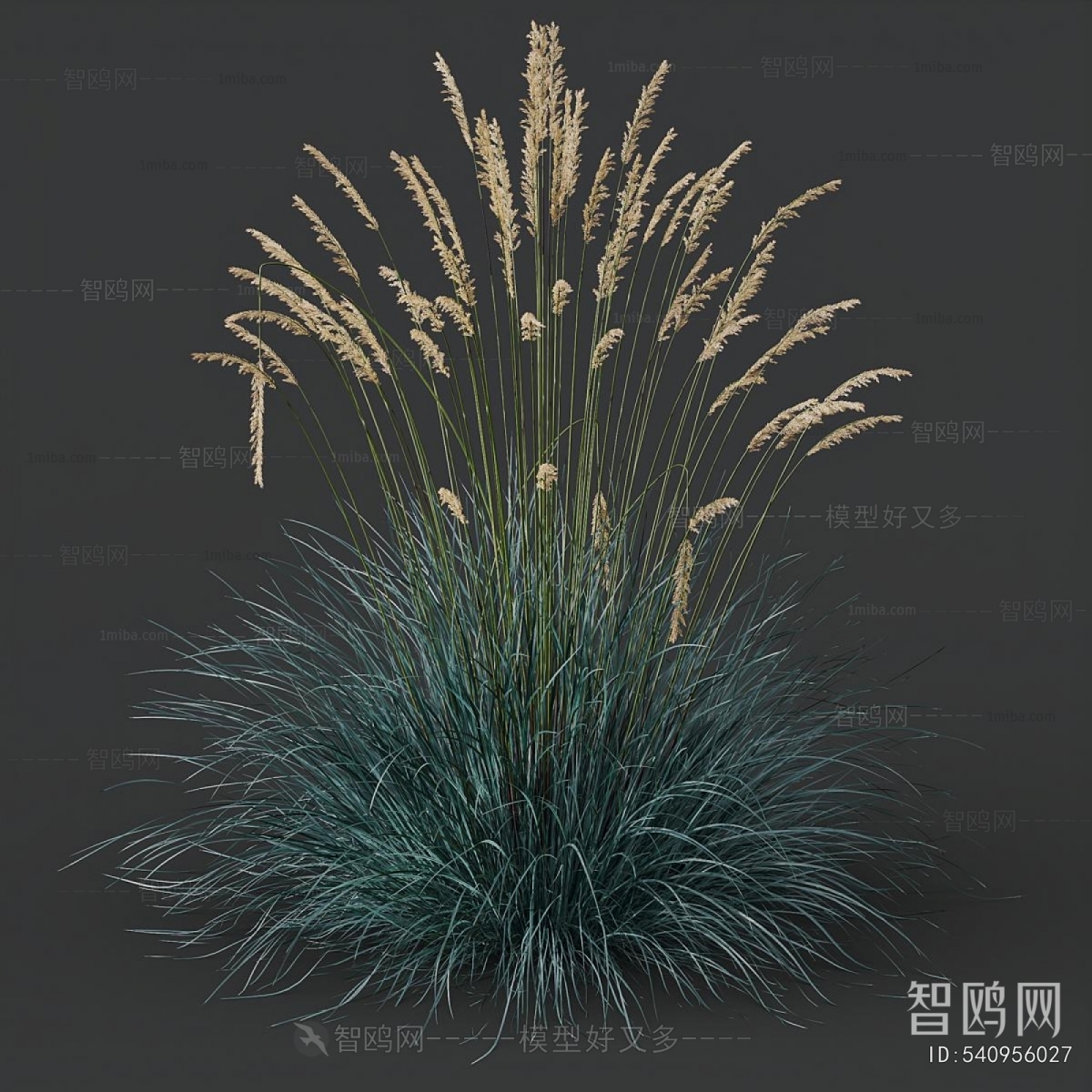 Modern Flowers And Grass