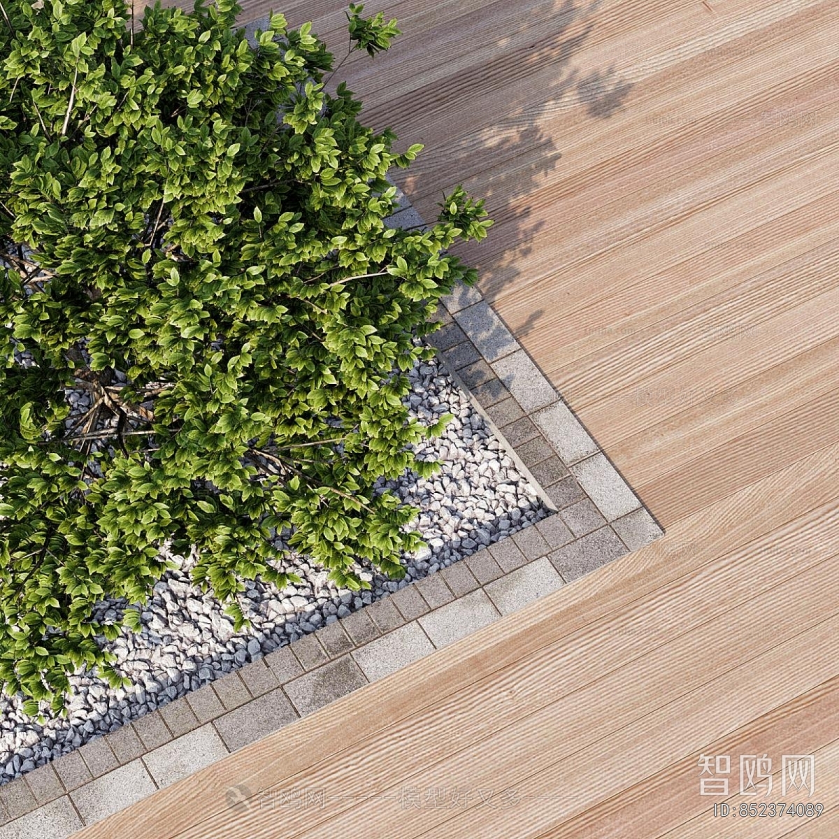 Modern Swimming Pool