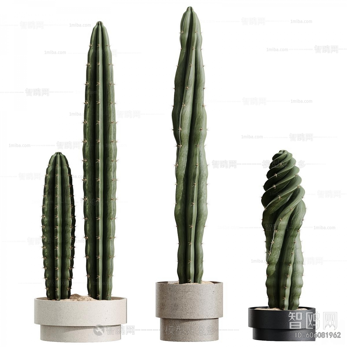 Modern Ground Green Plant Potted Plants