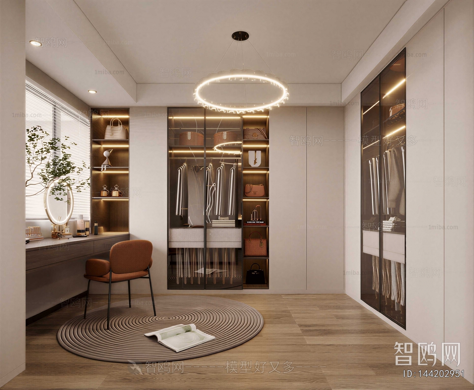 Modern Clothes Storage Area