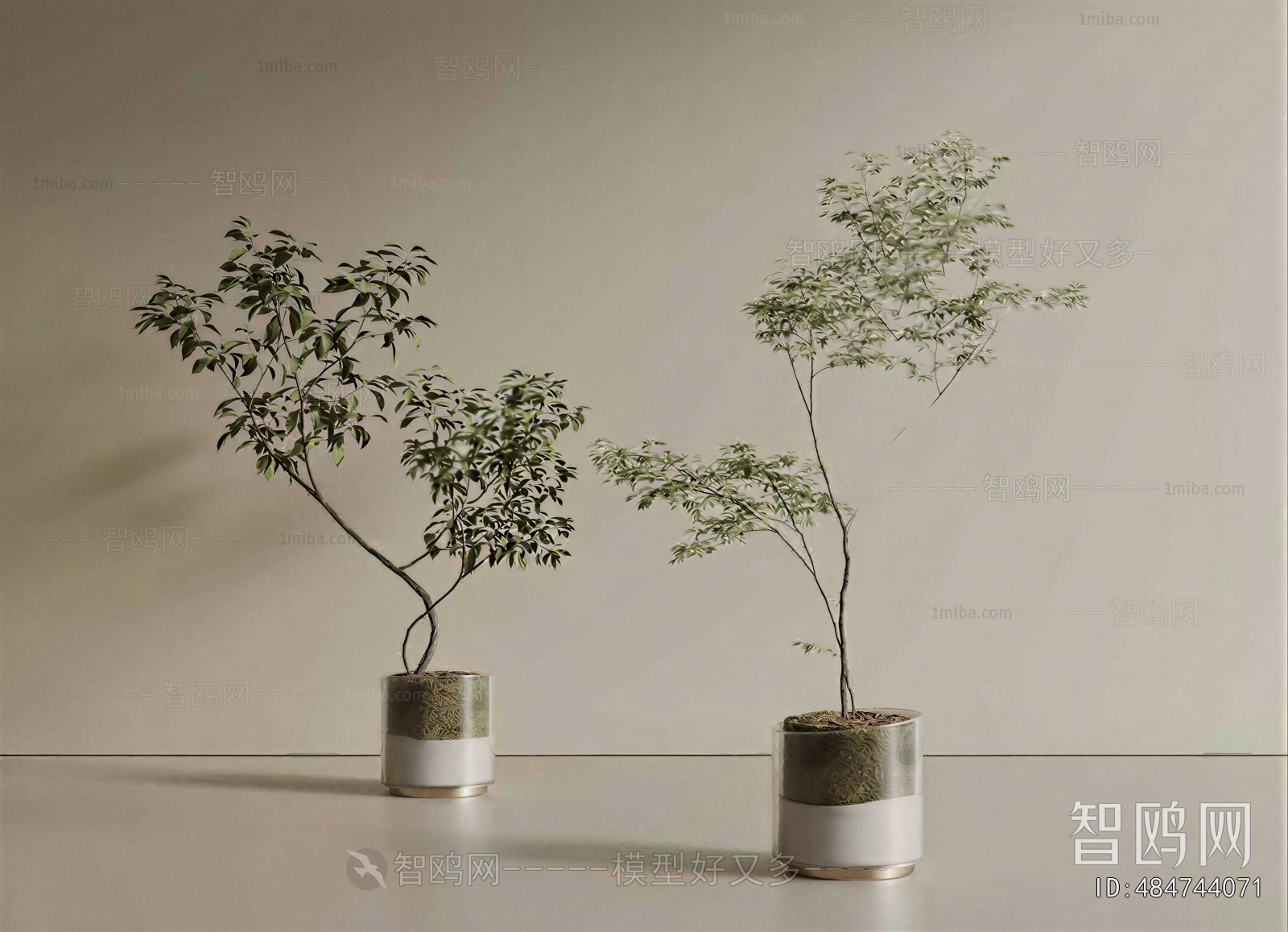 Modern Ground Green Plant Potted Plants