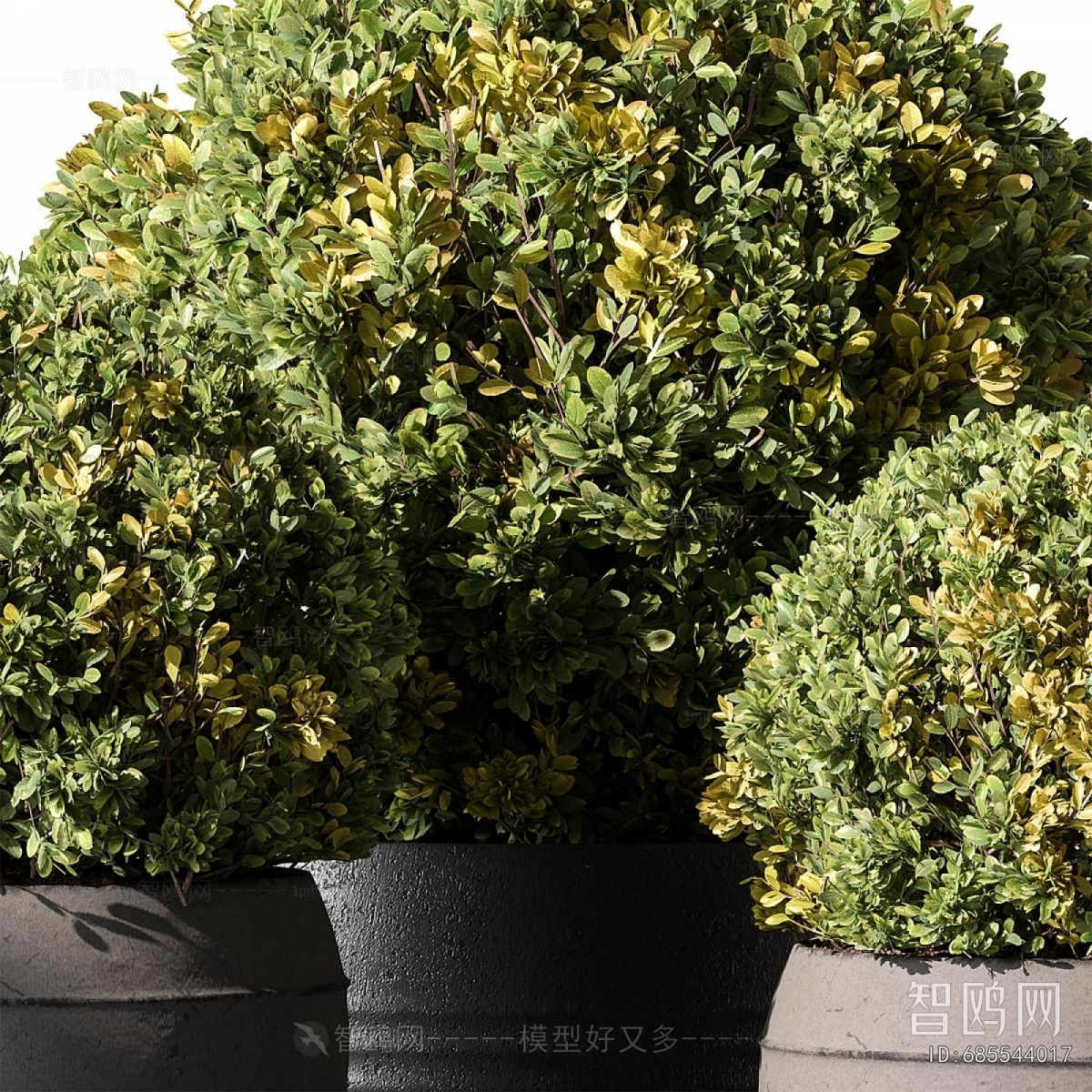 Modern Flower Bed, Flower Bowl, Flower Box