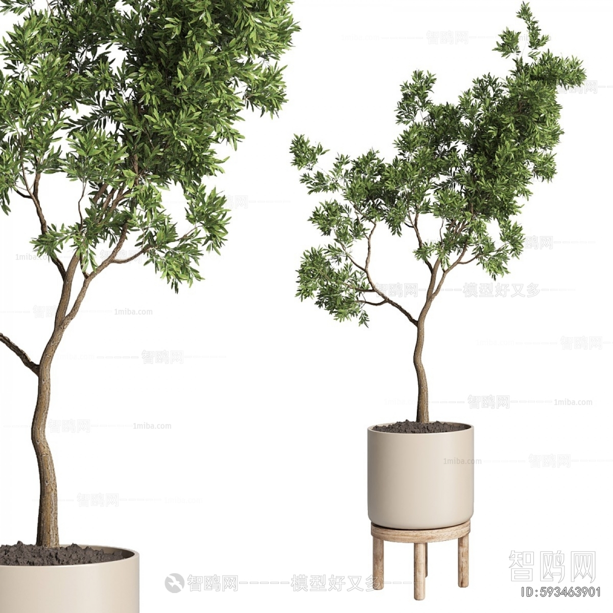 Modern Ground Green Plant Potted Plants