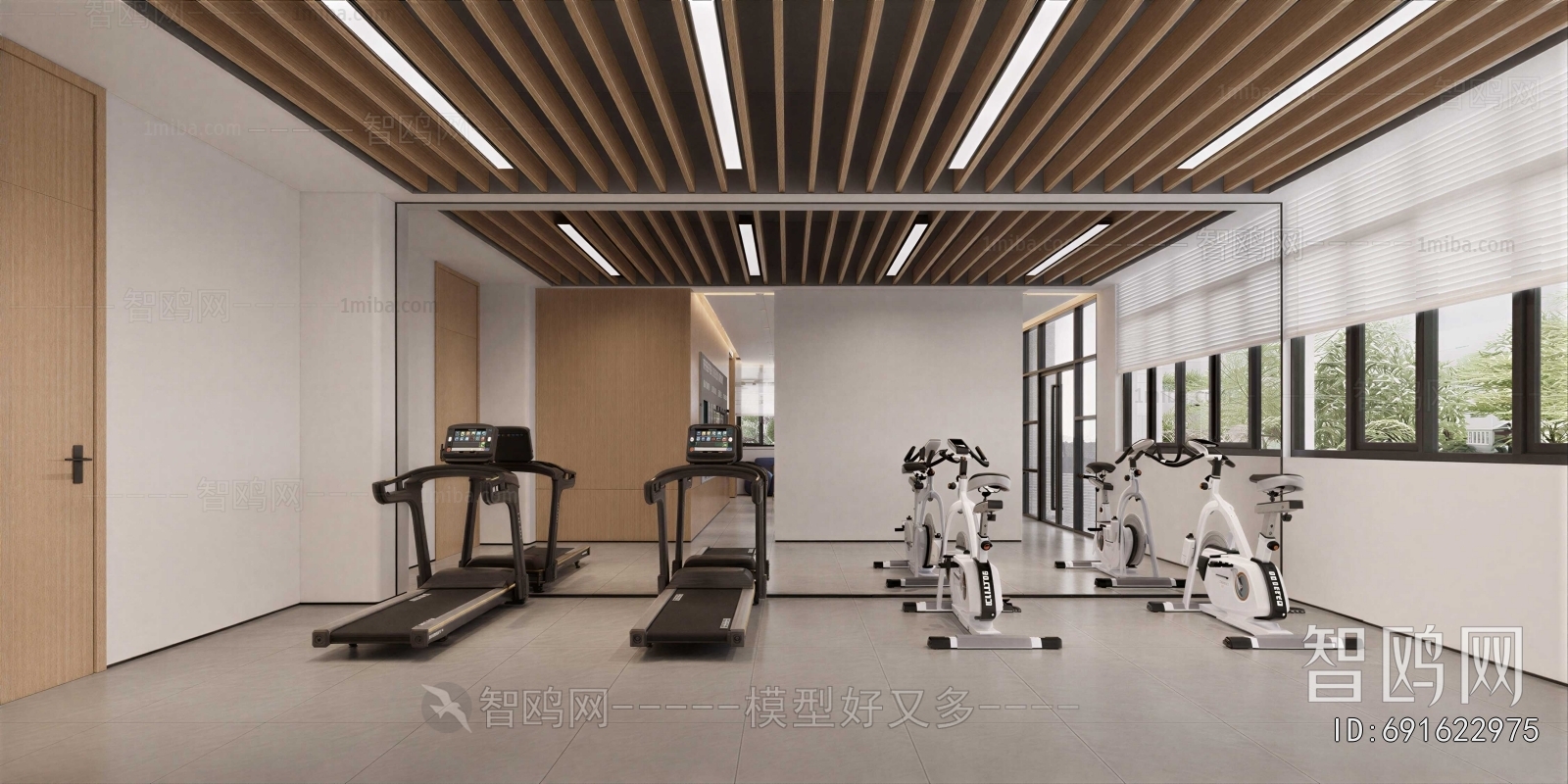 Modern Home Fitness Room