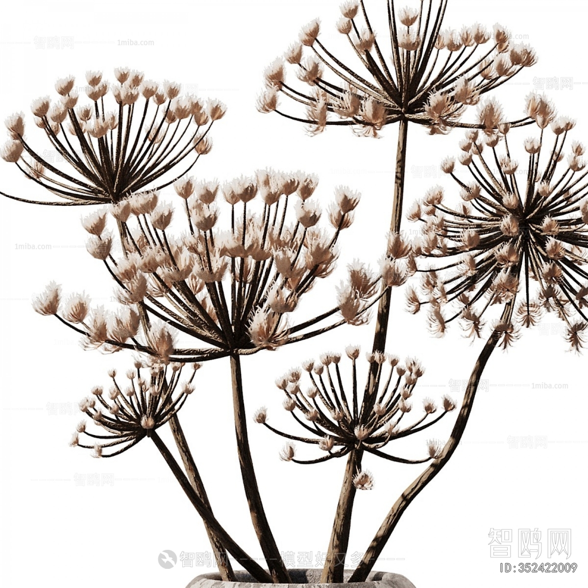 Wabi-sabi Style Dried Branch