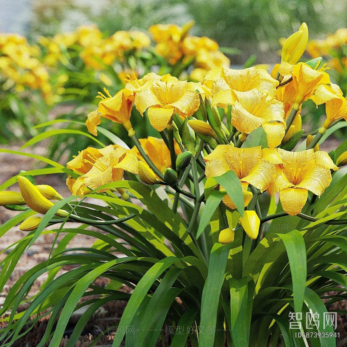 Modern Flowers And Grass