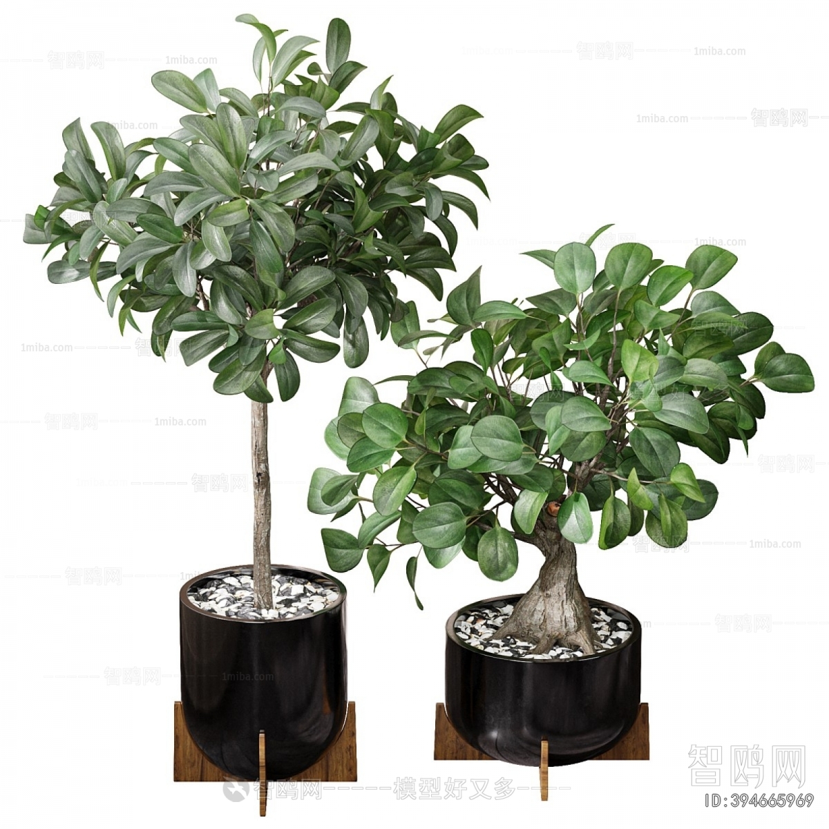 Modern Ground Green Plant Potted Plants