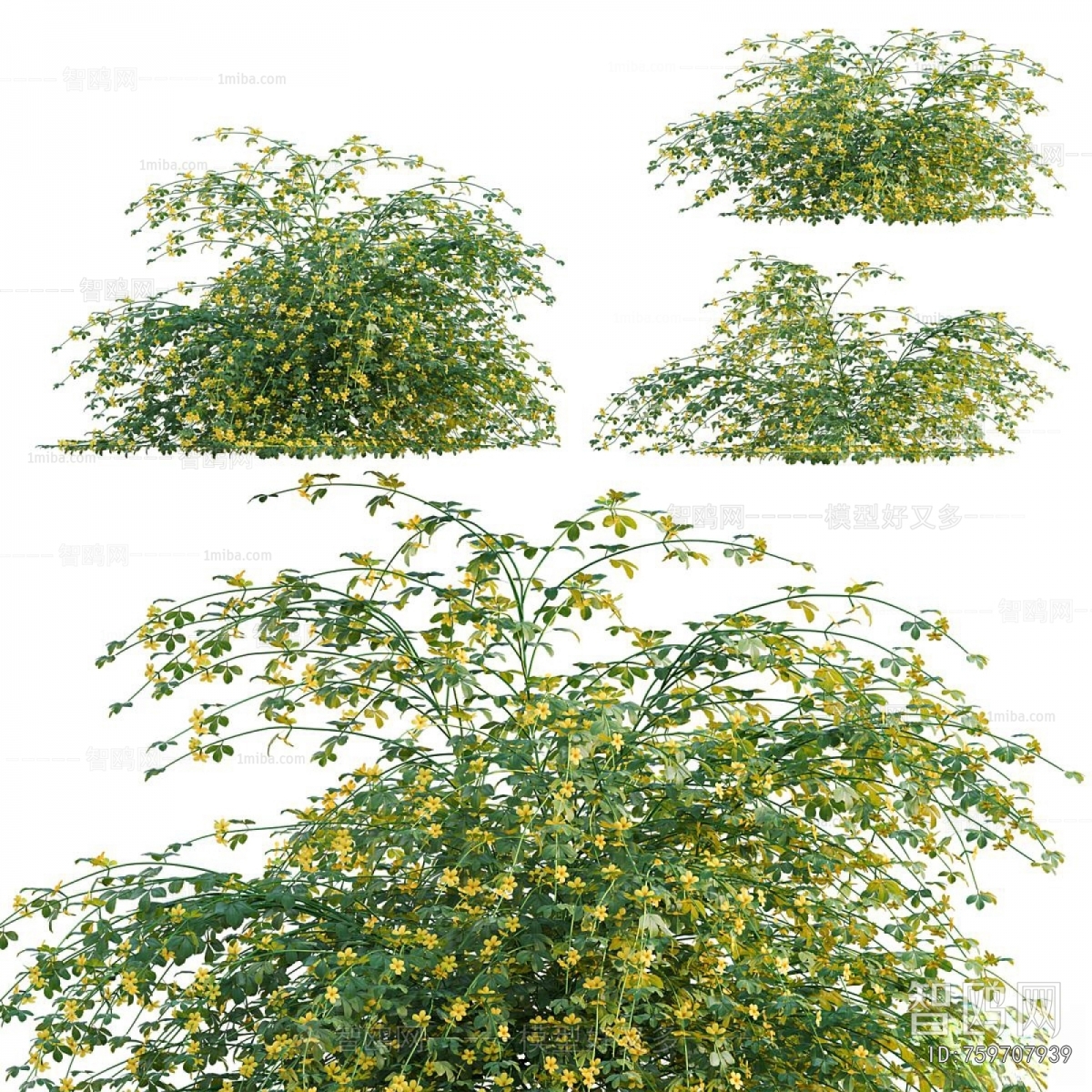 Modern Flowers And Grass