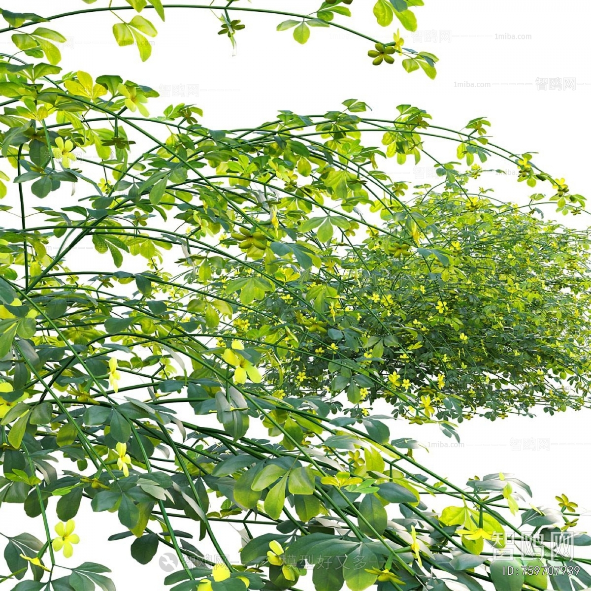 Modern Flowers And Grass
