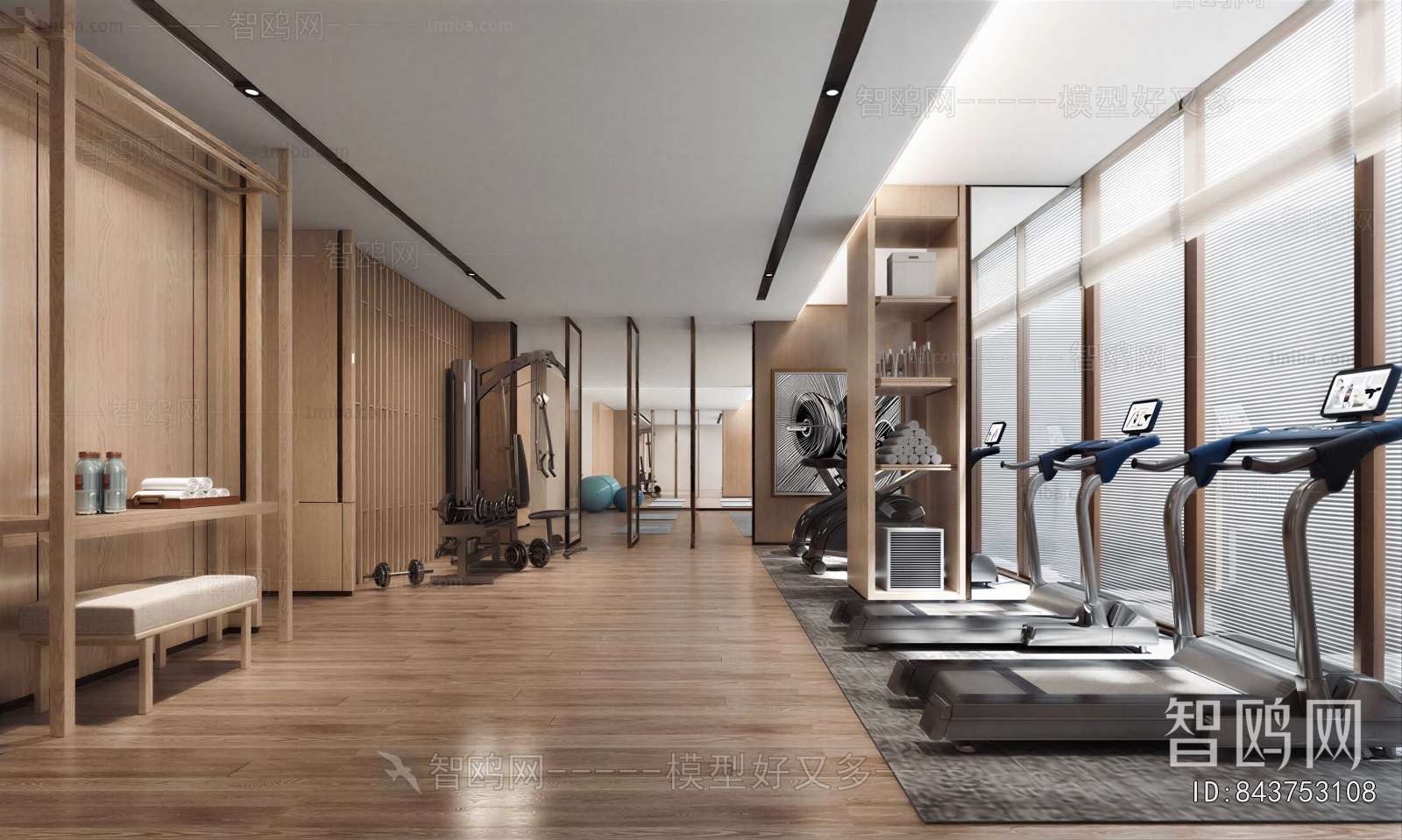 Modern Home Fitness Room