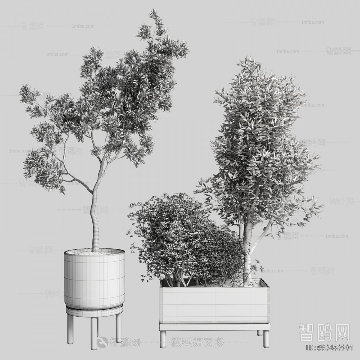 Modern Ground Green Plant Potted Plants