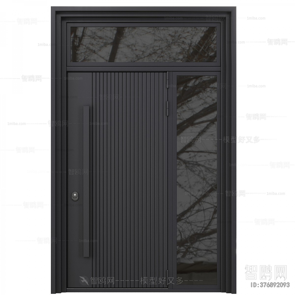 Modern Entrance Door