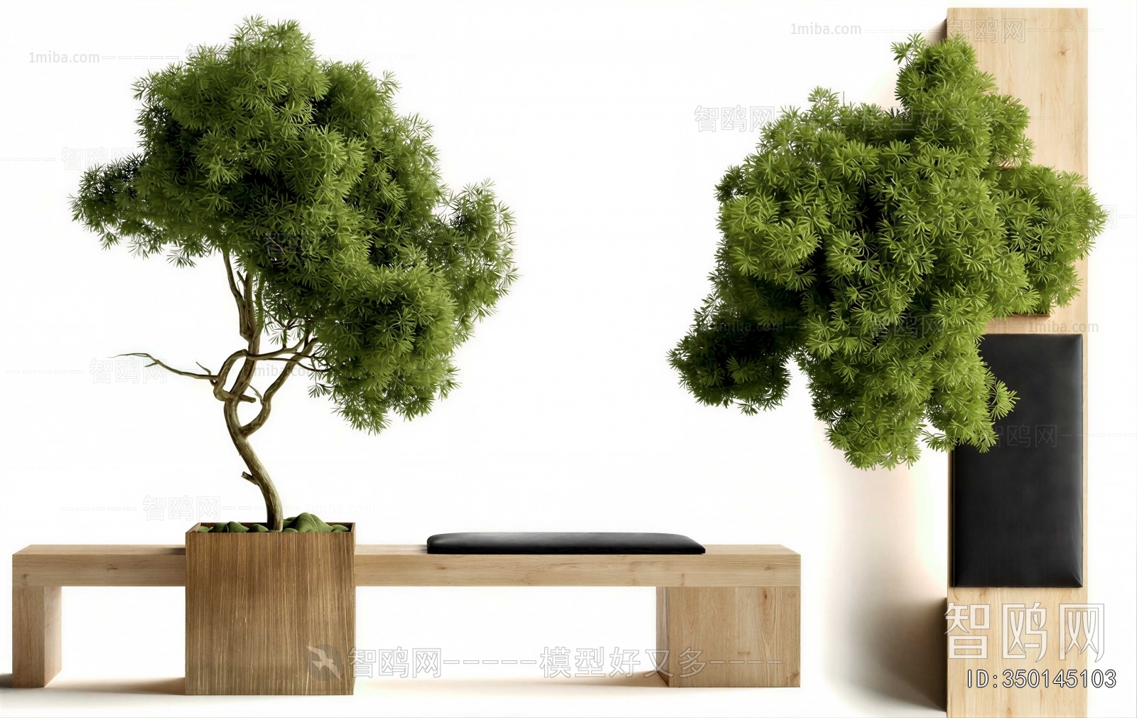 Modern Flower Bed, Flower Bowl, Flower Box