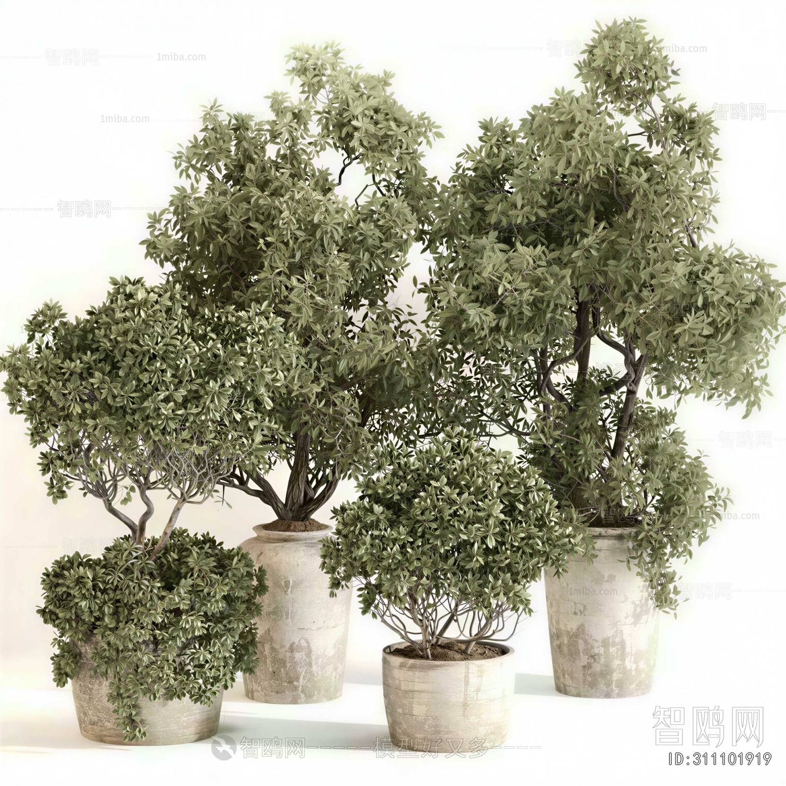 Modern Ground Green Plant Potted Plants