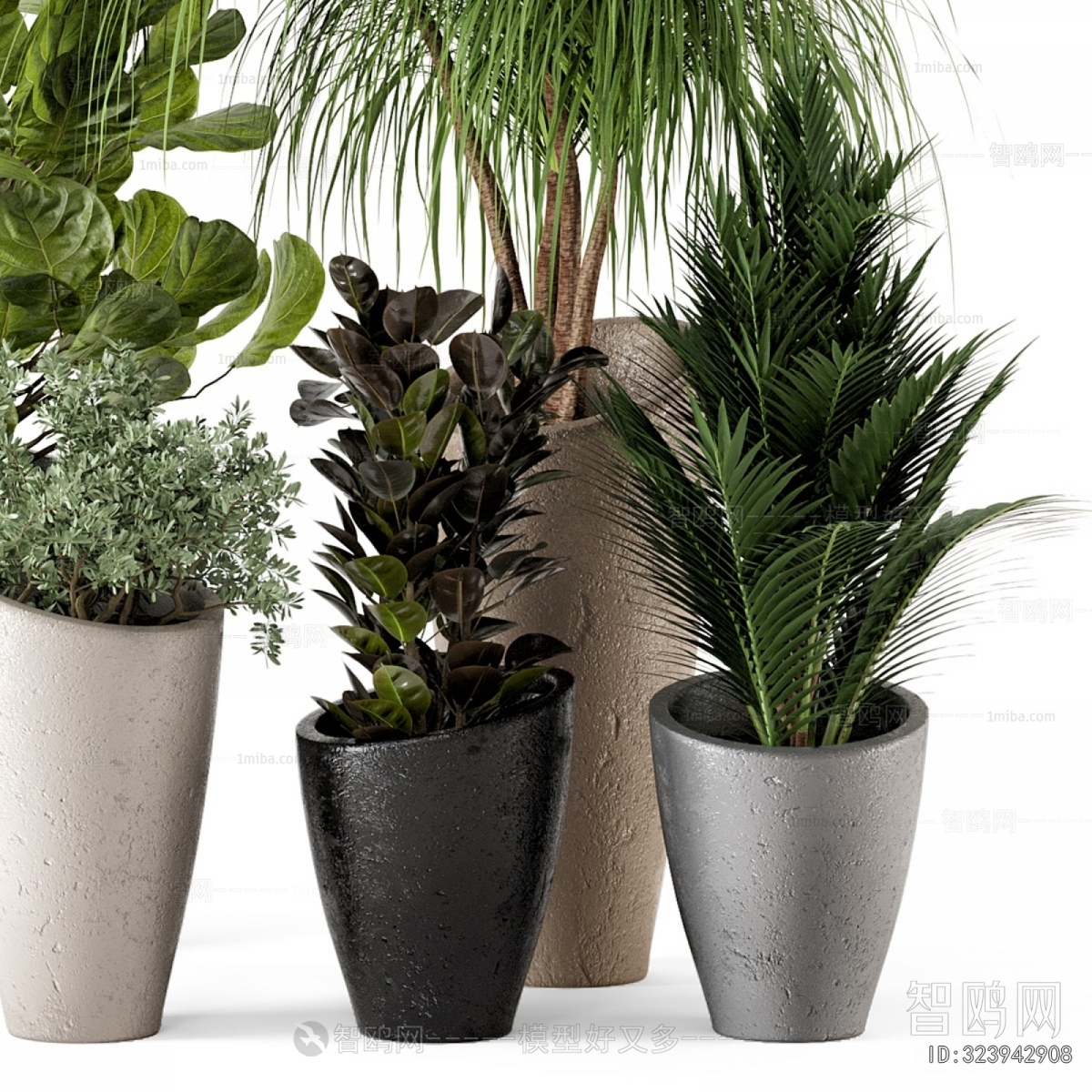 Modern Ground Green Plant Potted Plants