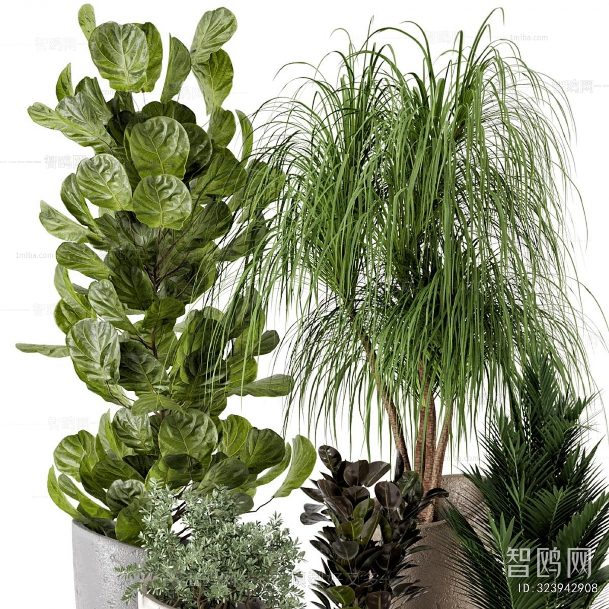 Modern Ground Green Plant Potted Plants