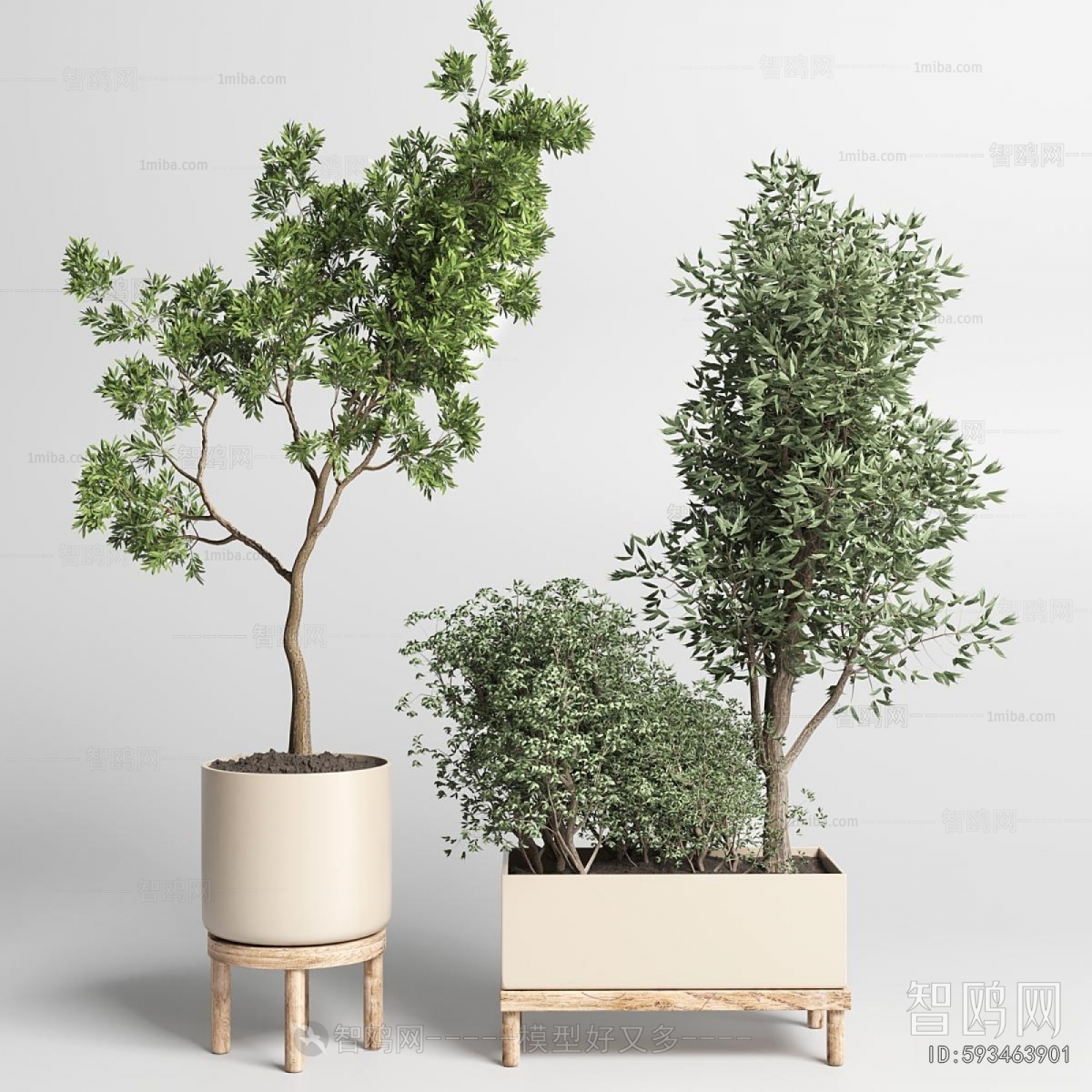 Modern Ground Green Plant Potted Plants