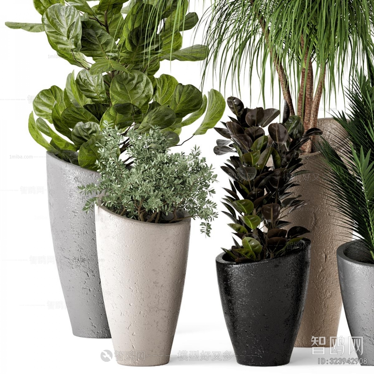 Modern Ground Green Plant Potted Plants