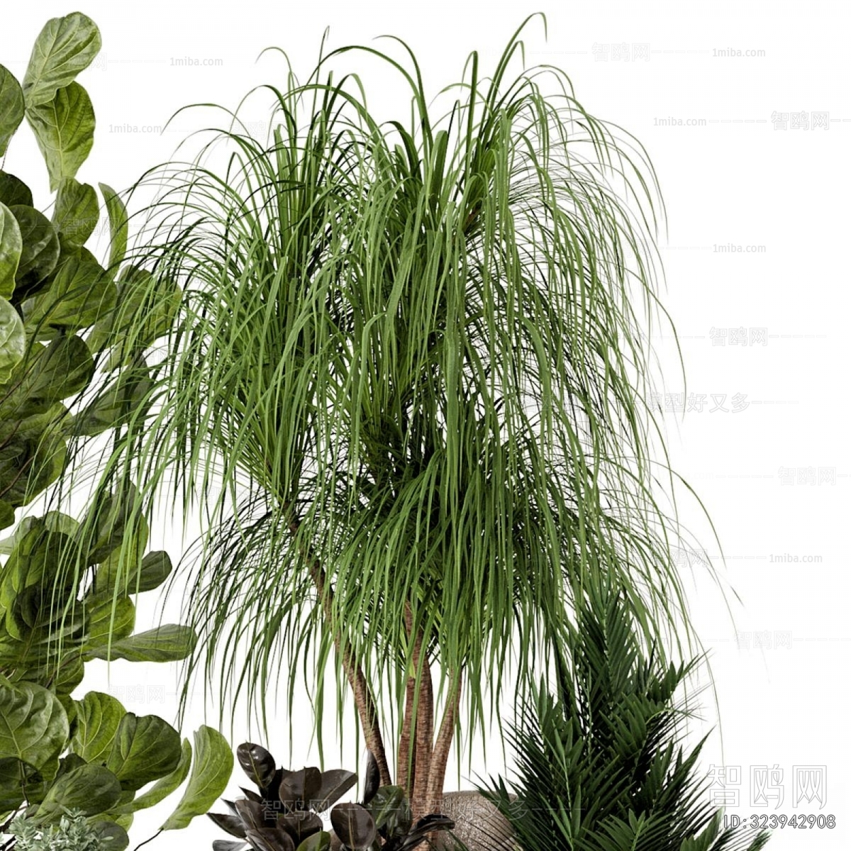 Modern Ground Green Plant Potted Plants