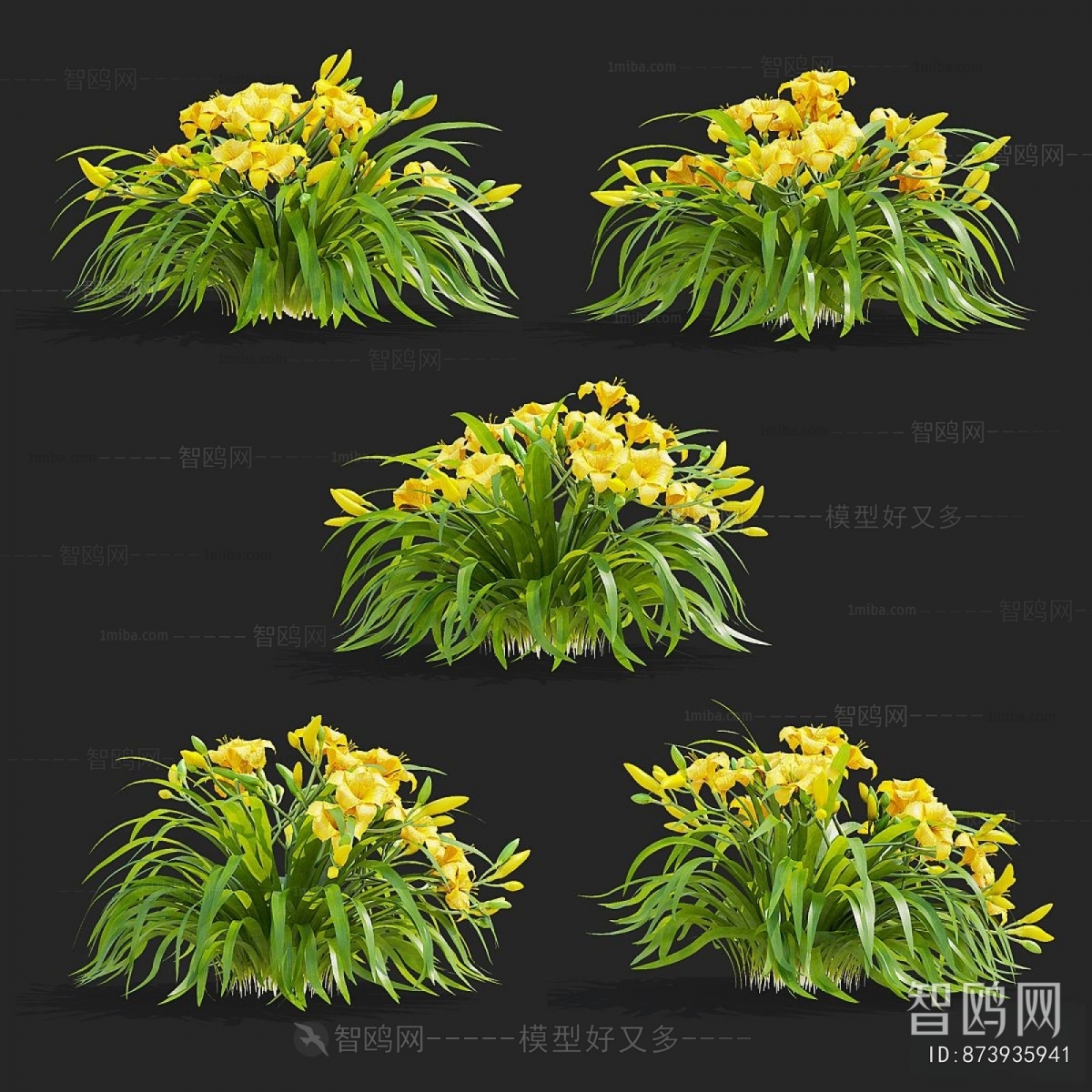 Modern Flowers And Grass