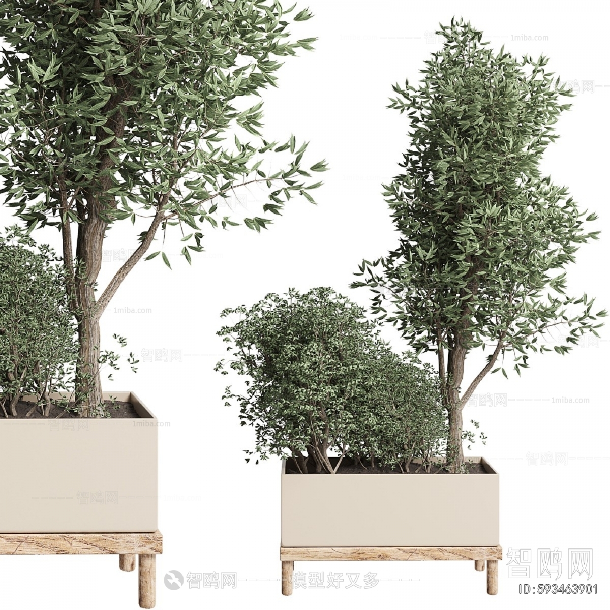 Modern Ground Green Plant Potted Plants