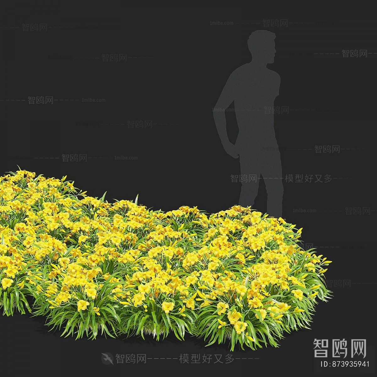 Modern Flowers And Grass