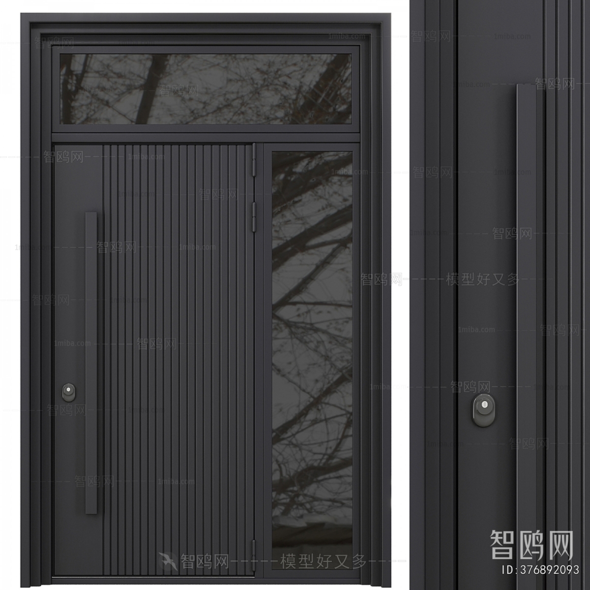 Modern Entrance Door