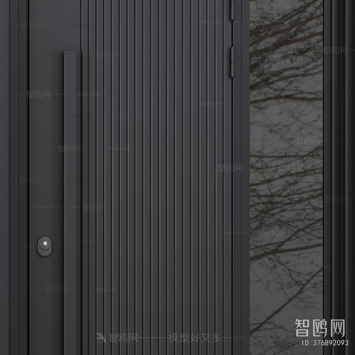 Modern Entrance Door