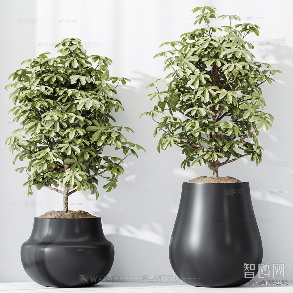 Modern Ground Green Plant Potted Plants