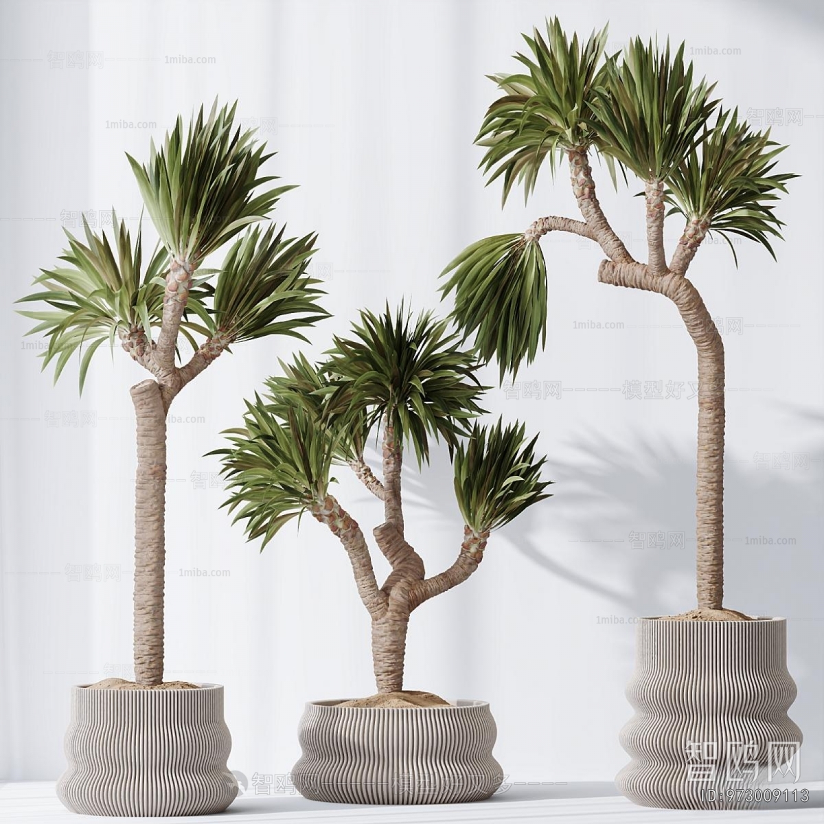 Modern Ground Green Plant Potted Plants