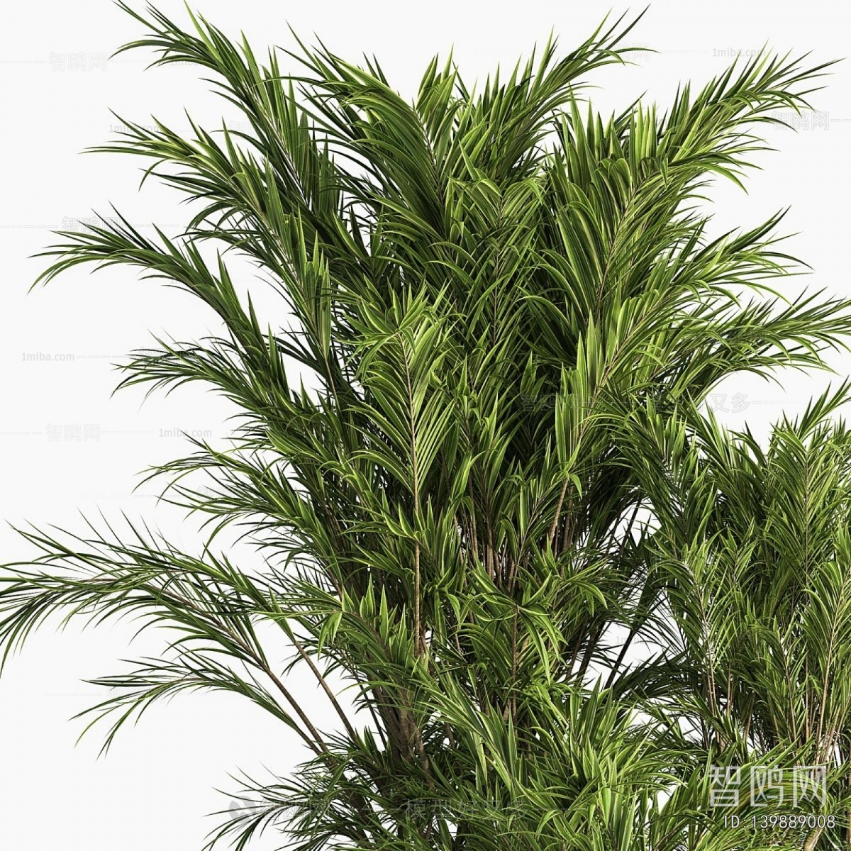 Modern Ground Green Plant Potted Plants