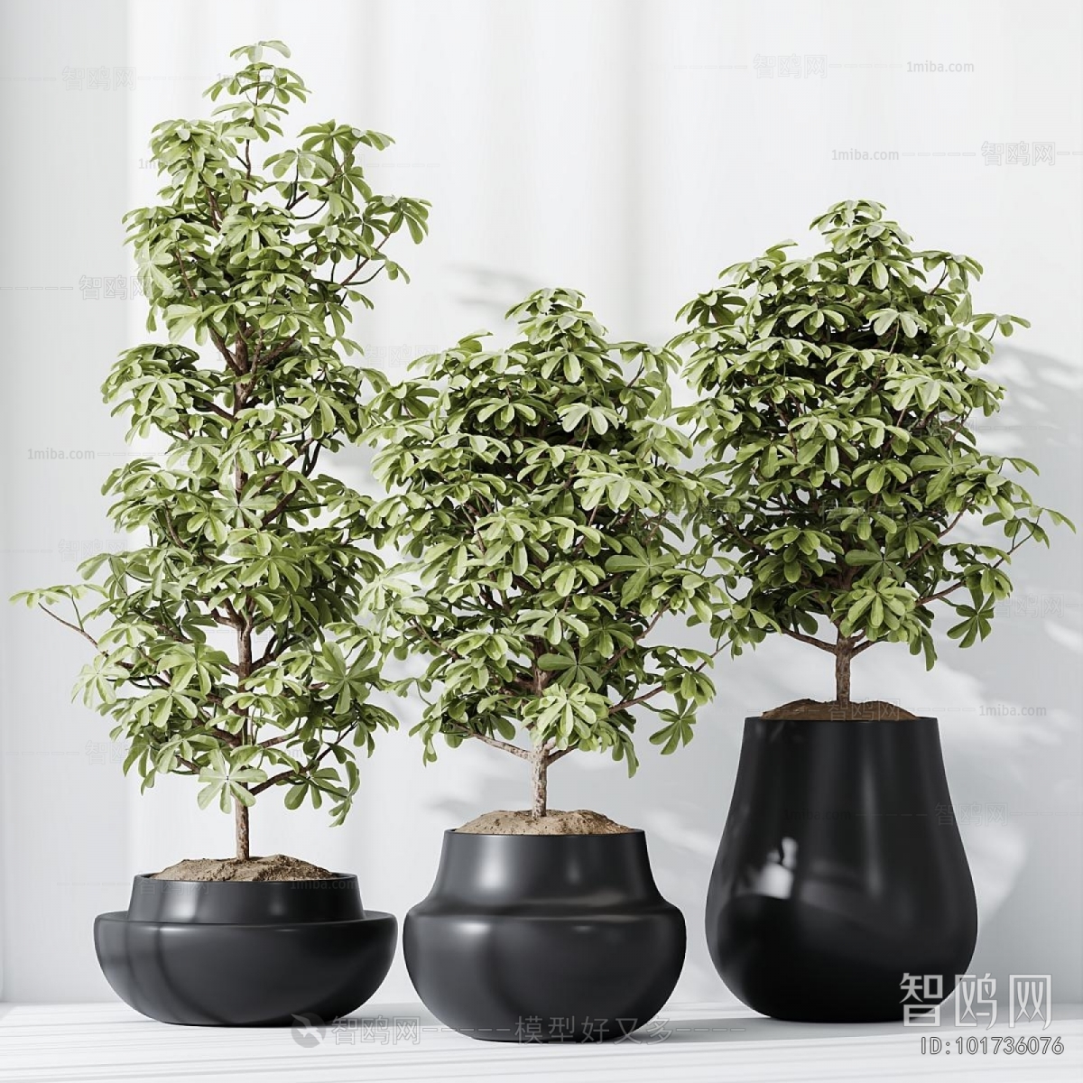 Modern Ground Green Plant Potted Plants