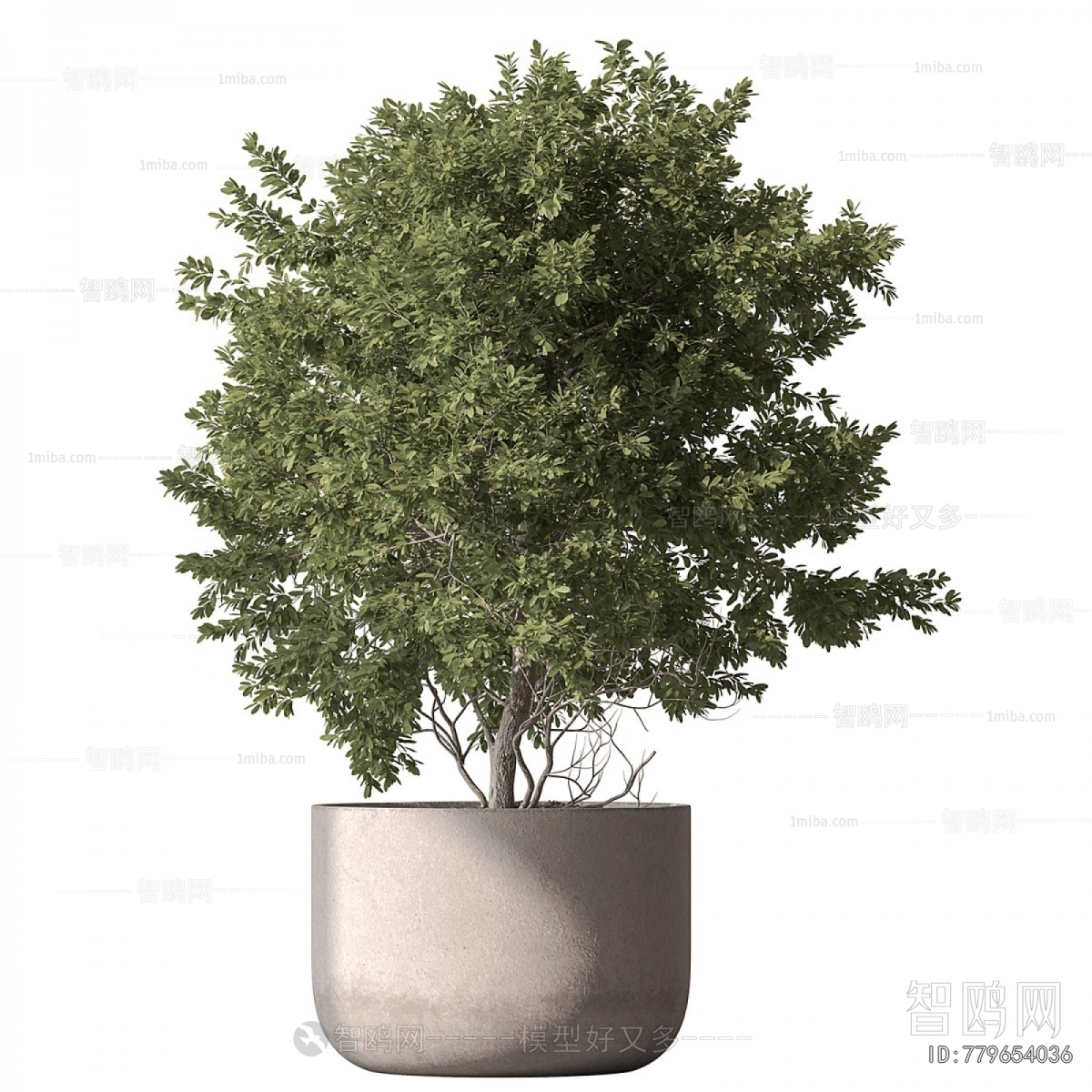 Modern Ground Green Plant Potted Plants