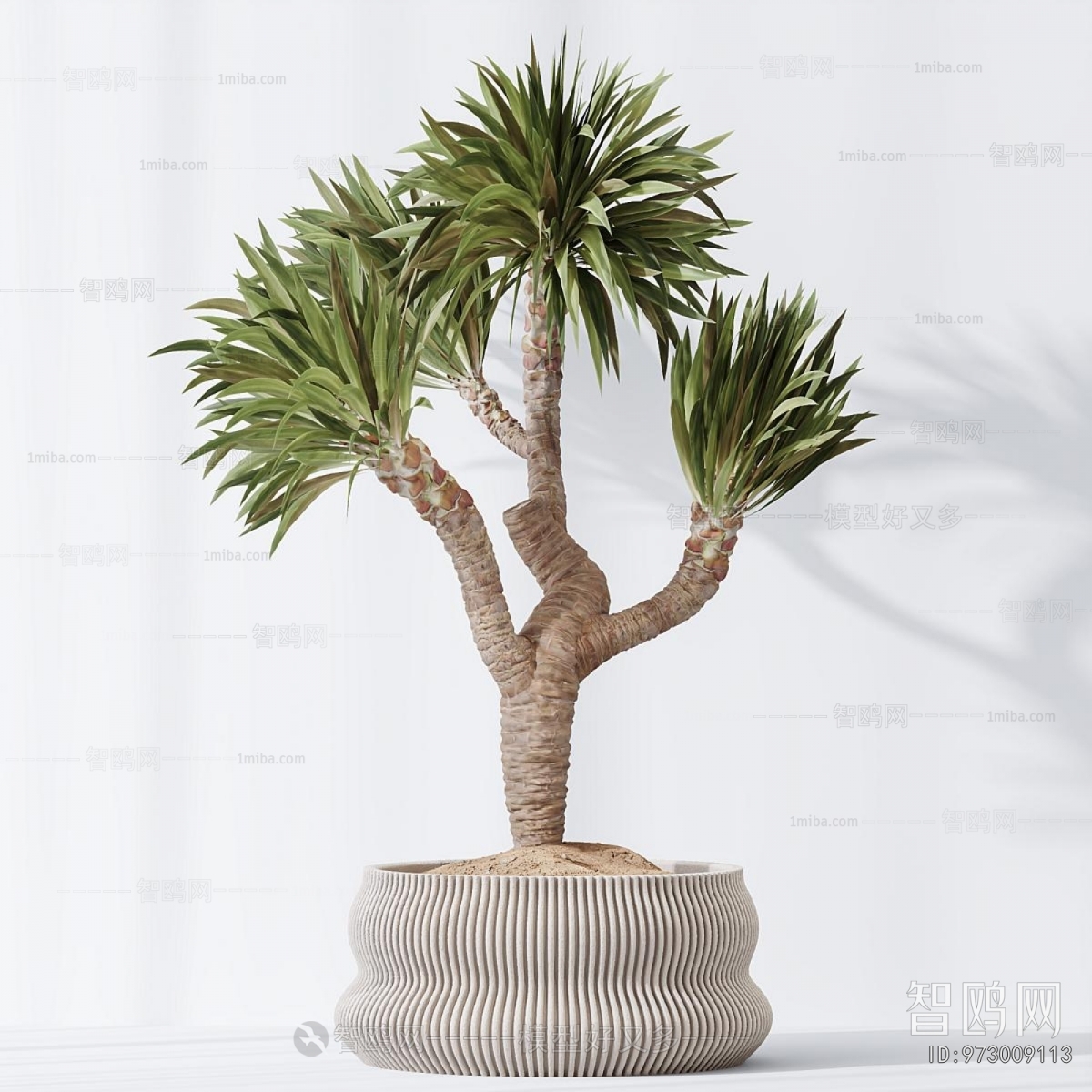 Modern Ground Green Plant Potted Plants