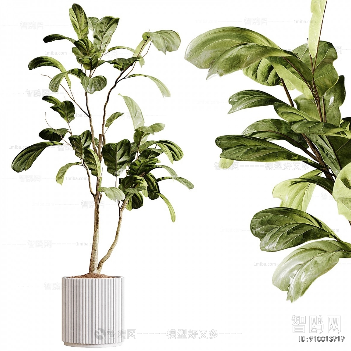 Modern Ground Green Plant Potted Plants