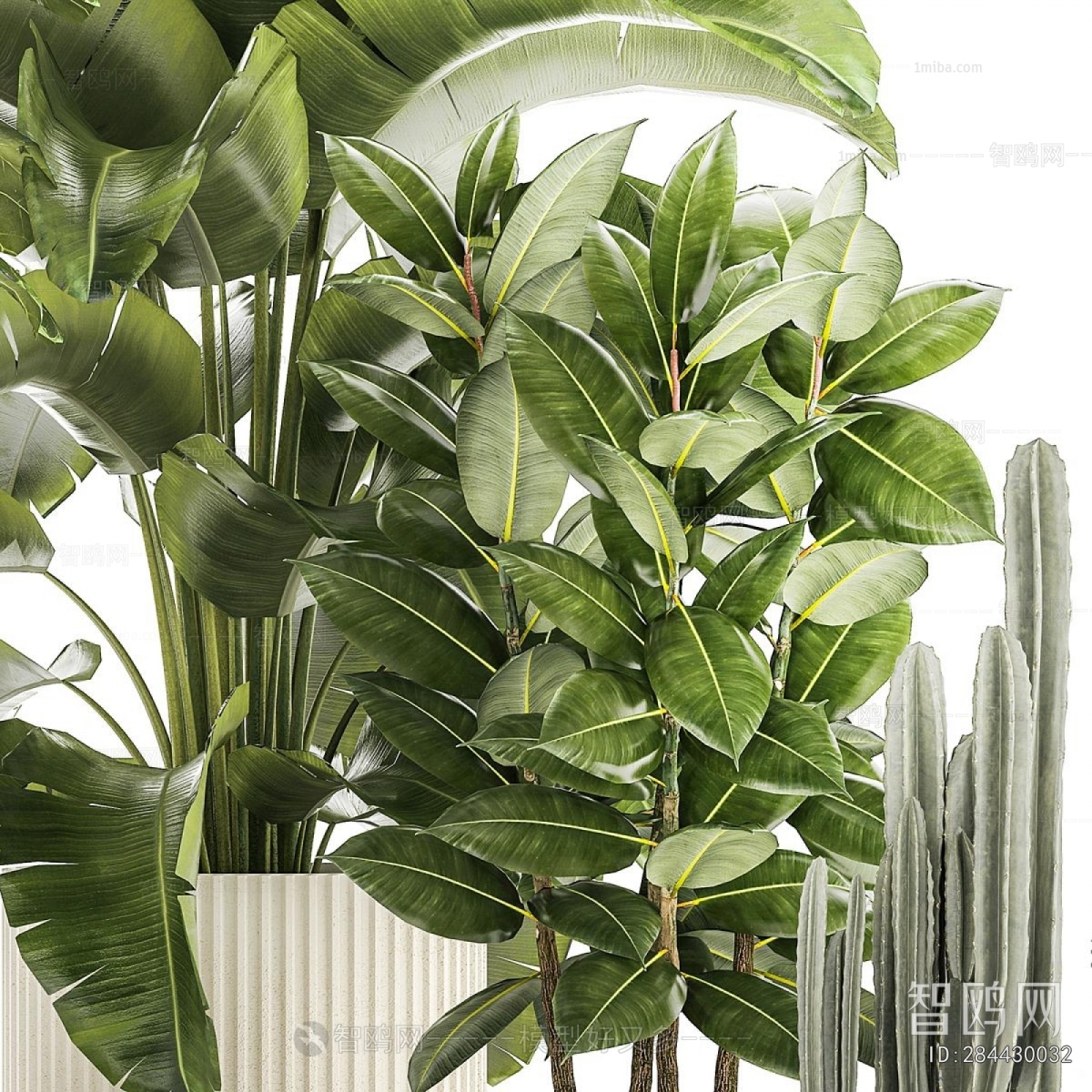 Modern Ground Green Plant Potted Plants