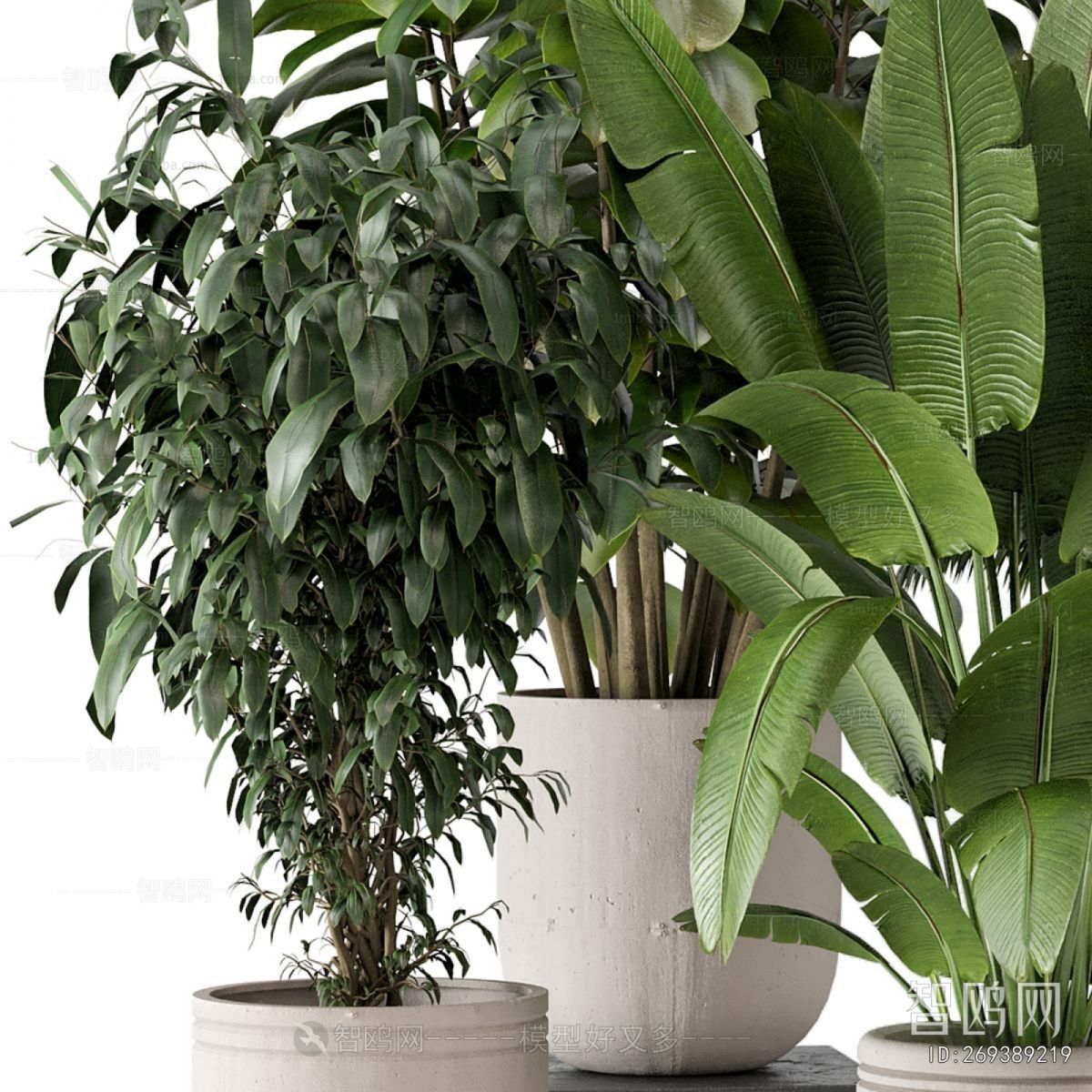 Modern Ground Green Plant Potted Plants